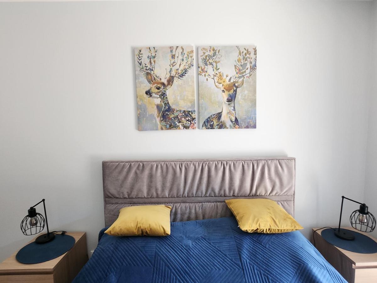 Dwa Jelonki, Ul Sciegiennego, Centrum, Garaz, Ogrodek Kielce Extérieur photo
